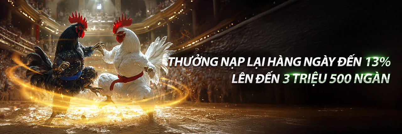 Đá Gà Thomo kịch tính tại VN168